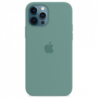 Чехол Silicone Case iPhone 12 / 12 Pro (кактус) 3921